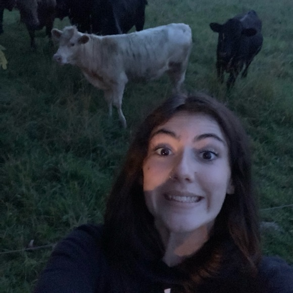 Meet your Posher, Marley - Picture 9 of 9